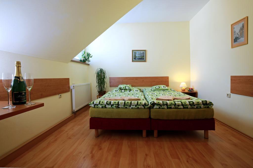 Wellness Penzion Pod Rozhlednou Kostelec nad Orlici Номер фото
