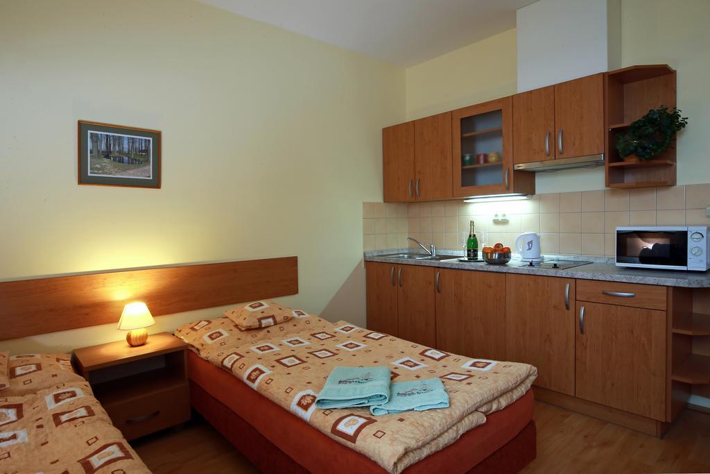 Wellness Penzion Pod Rozhlednou Kostelec nad Orlici Номер фото