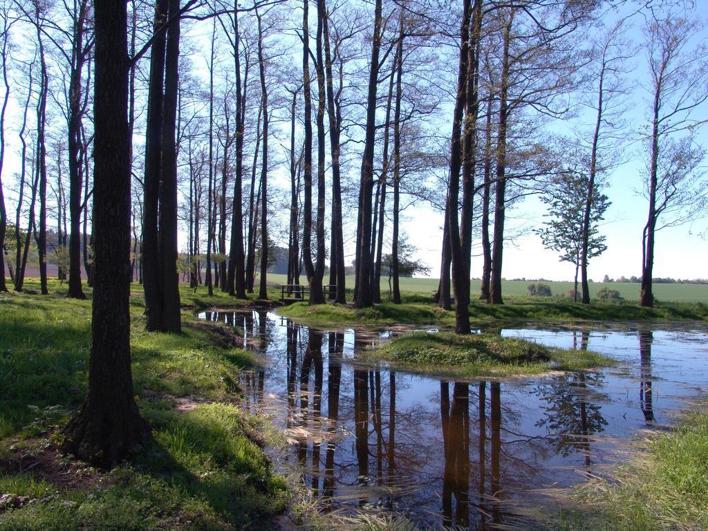 Wellness Penzion Pod Rozhlednou Kostelec nad Orlici Экстерьер фото